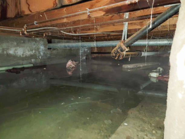 Best Water damage restoration near me  in Crystal Lakes, OH
