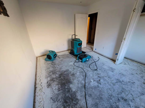 Best Carpet water damage restoration  in Crystal Lakes, OH