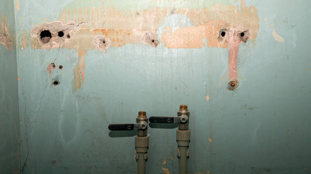 Best Sewage cleanup and water damage restoration  in Crystal Lakes, OH