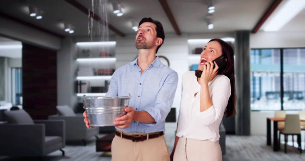 Best Basement water damage restoration  in Crystal Lakes, OH