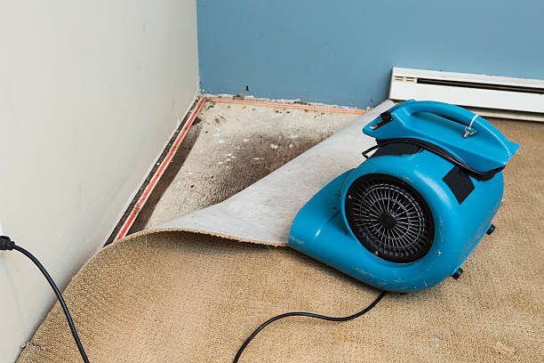 Best Ceiling water damage repair  in Crystal Lakes, OH